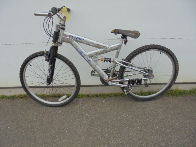 Vertical Bicycle