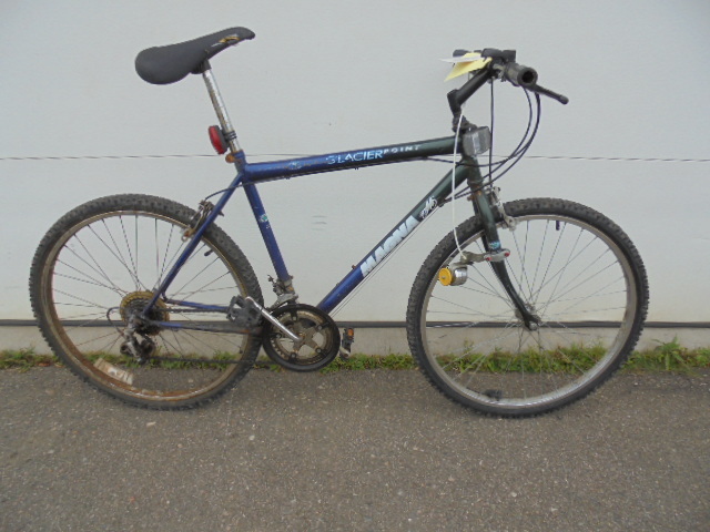 Magna Bicycle
