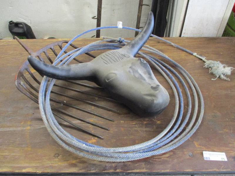 lot 71 image: Lasso steer headpitch fork head