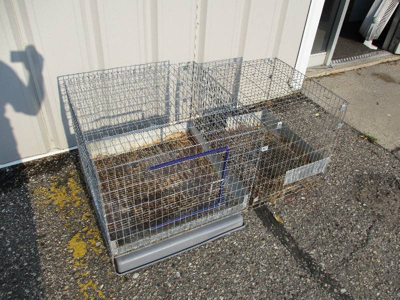 lot 133 image: Animal Cages