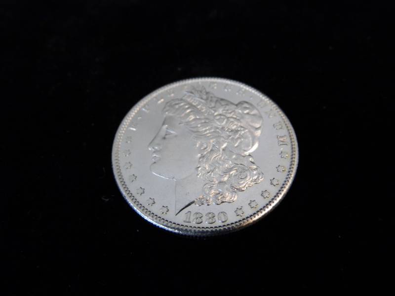 Morgan Dollar Coin - 1880