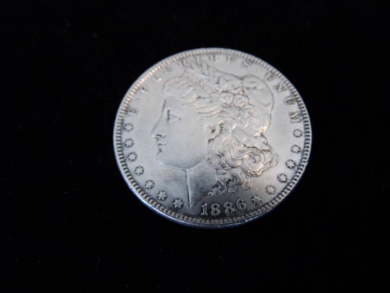Morgan Dollar Coin - 1896