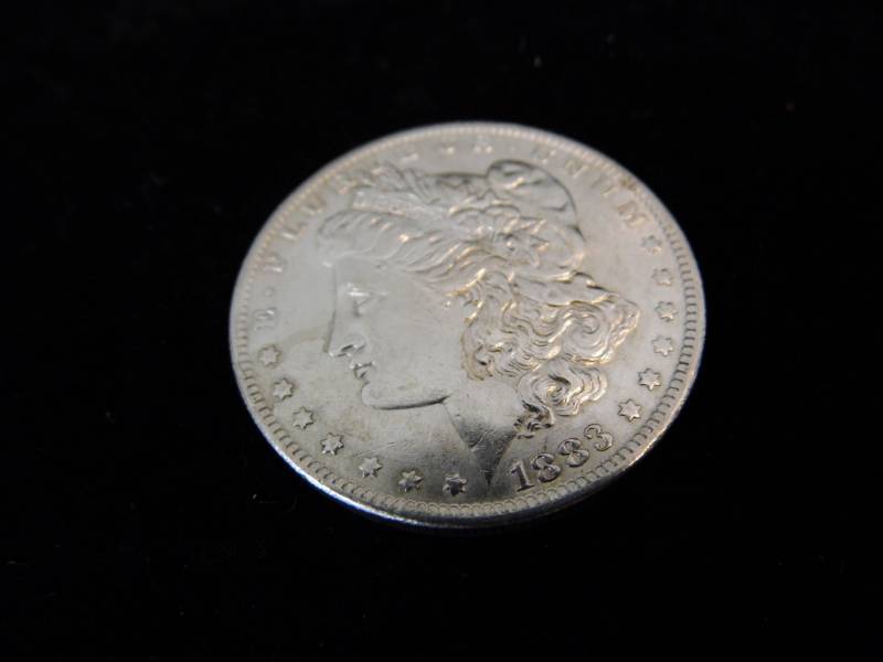 Morgan Dollar Coin - 1883