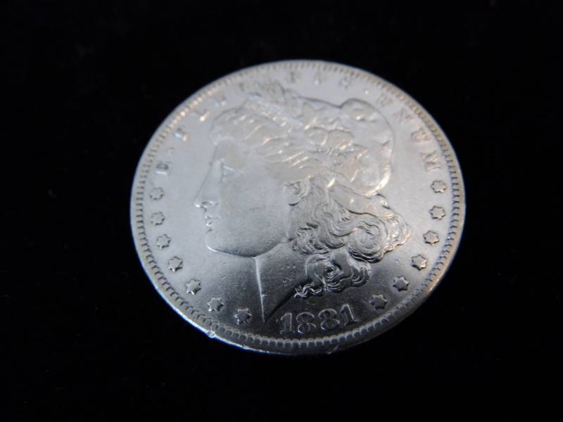 Morgan Dollar Coin - 1881