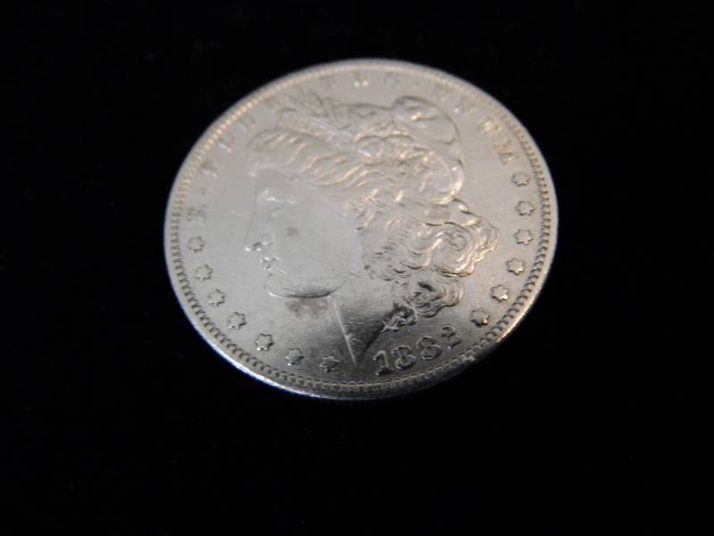 Morgan Dollar Coin - 1882