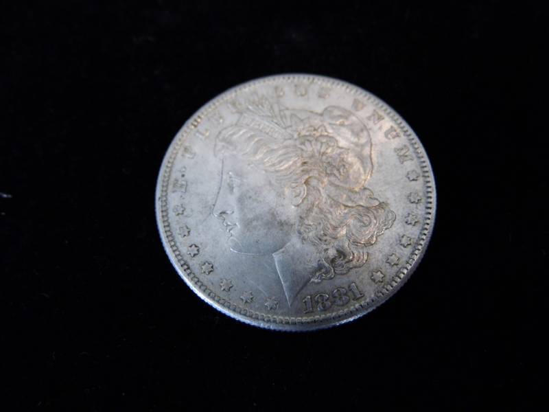 Morgan Dollar Coin - 1881