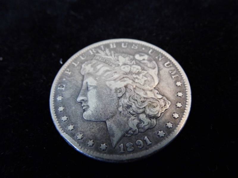 Morgan Dollar Coin - 1891