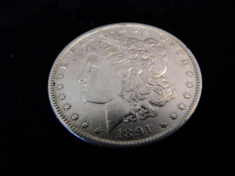 Morgan Dollar Coin - 1891