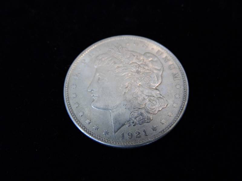 Morgan Dollar Coin - 1921