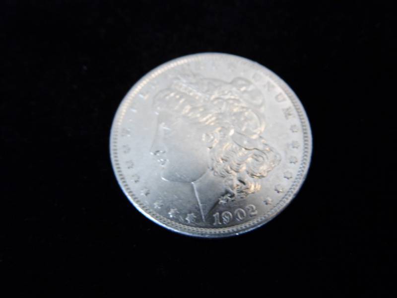 Morgan Dollar Coin - 1902