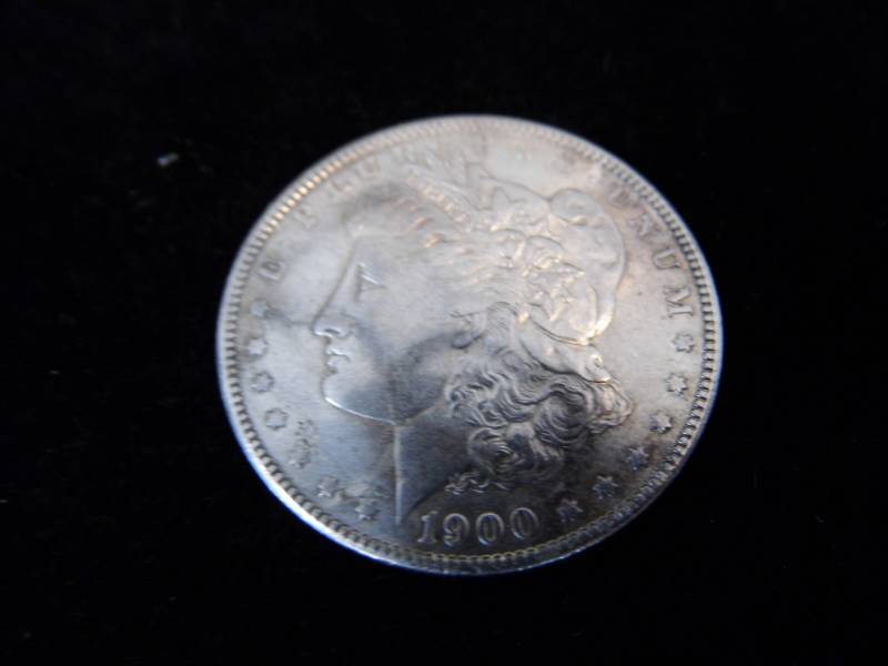 Morgan Dollar Coin - 1900