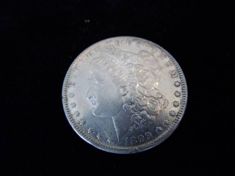 Morgan Dollar Coin - 1899