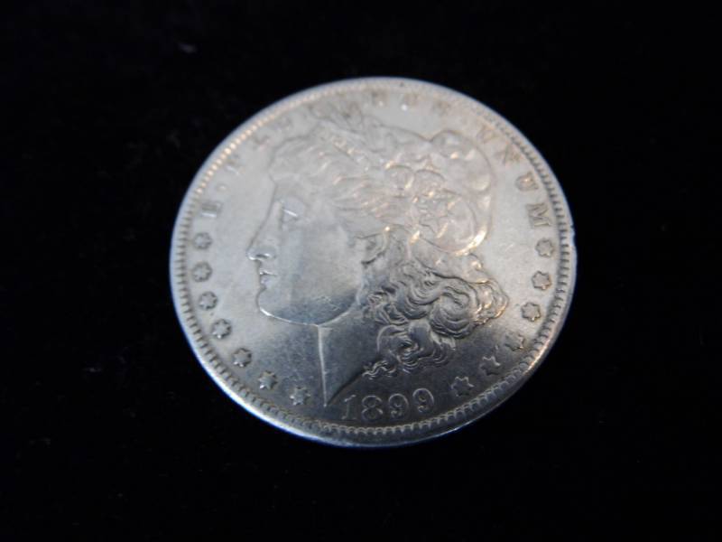 Morgan Dollar Coin - 1899