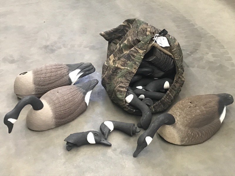 lot 71 image: (22) Goose Shell Decoys With Heads,...