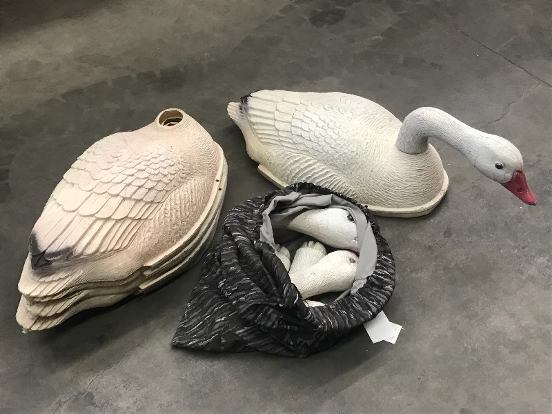lot 75 image: (6) Large Snow Goose Shell Decoys, ...