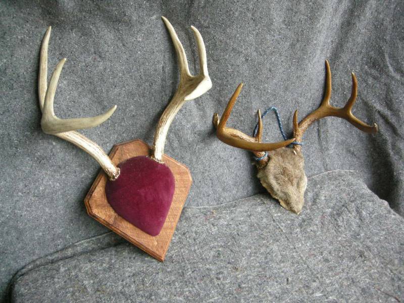 lot 29 image: Pair Deer Antlers