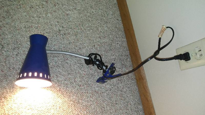 lot 48 image: One Desk Light and Three Clamp on Lights