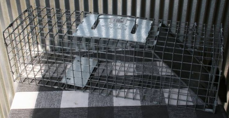 lot 55 image: Live Trap