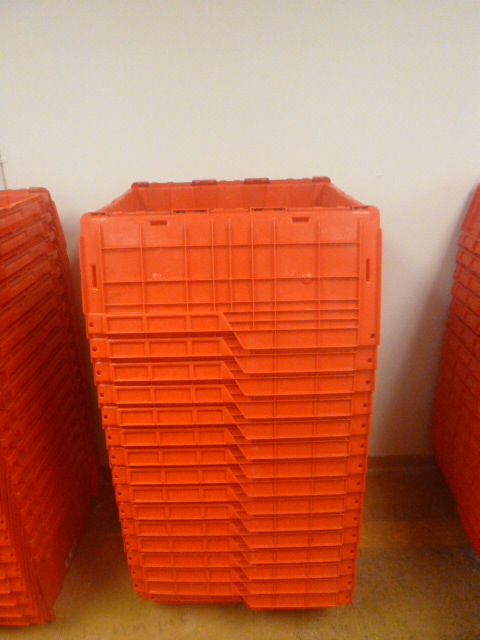 lot 127 image: 17 Plastic Totes