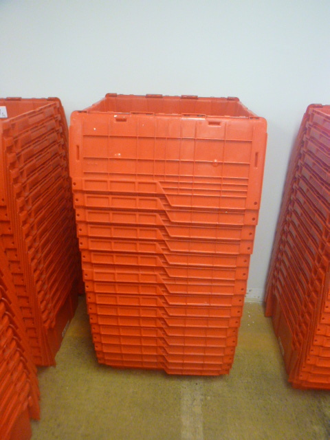 lot 131 image: 17 Plastic Totes