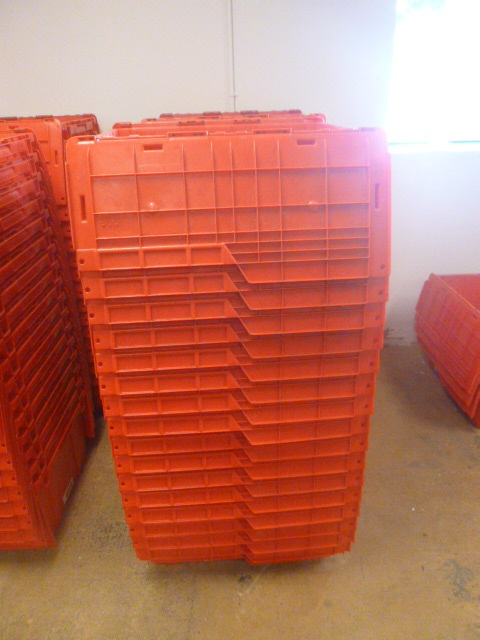 lot 134 image: 17 Plastic Totes