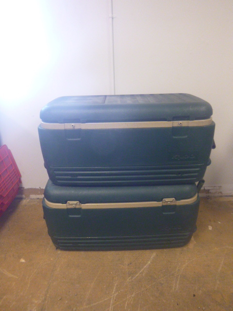 lot 137 image: 2 Igloo Coolers