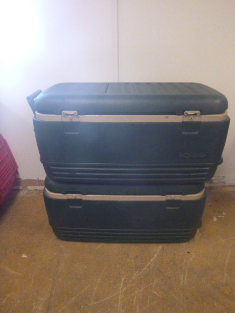 lot 138 image: 2 Igloo Coolers