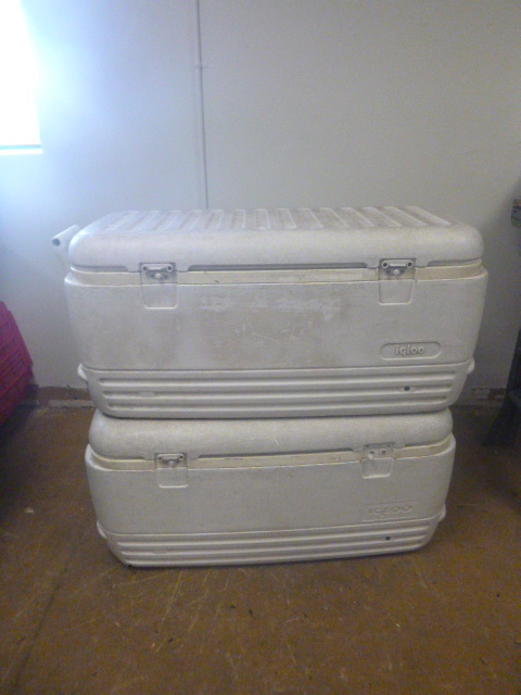 lot 139 image: 2 Igloo Coolers