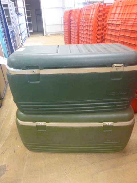 lot 142 image: 2 Igloo Coolers