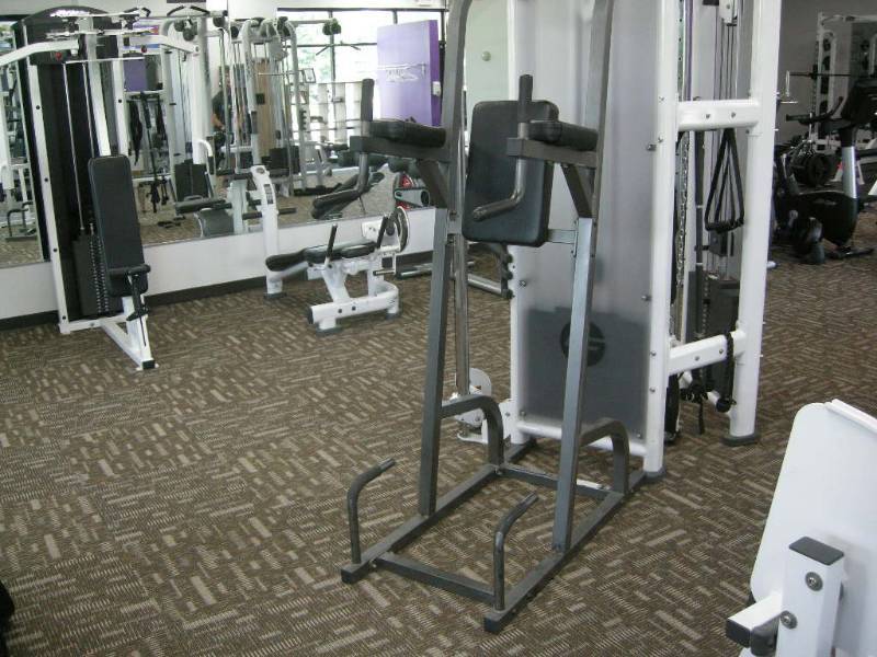 lot 4 image: Parabody Vertical Knee Raise  Chin Dip