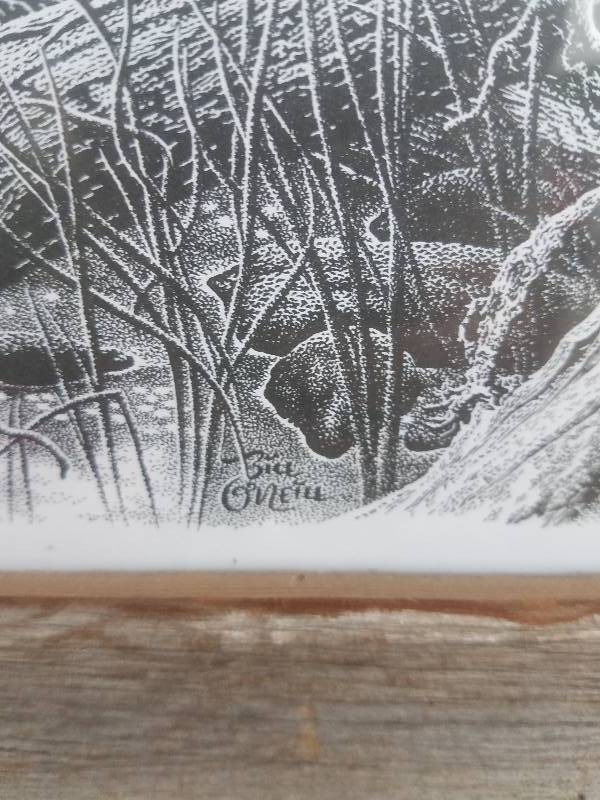 lot 45 image: Wildlife Picture (Pencil)