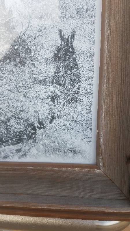 lot 60 image: Wildlife Picture (Pencil)