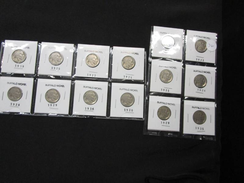 lot 36 image: 14 Buffalo Nickels