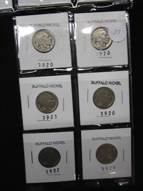 lot 37 image: 14 Buffalo Nickels