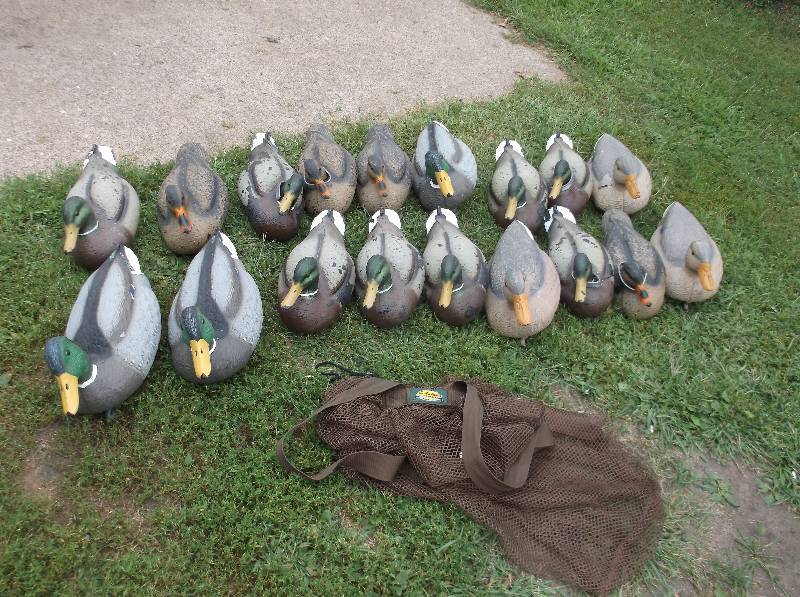 Decoys