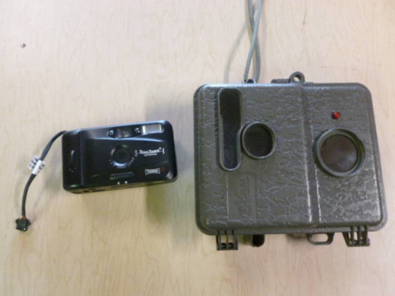 lot 85 image: Game Camera