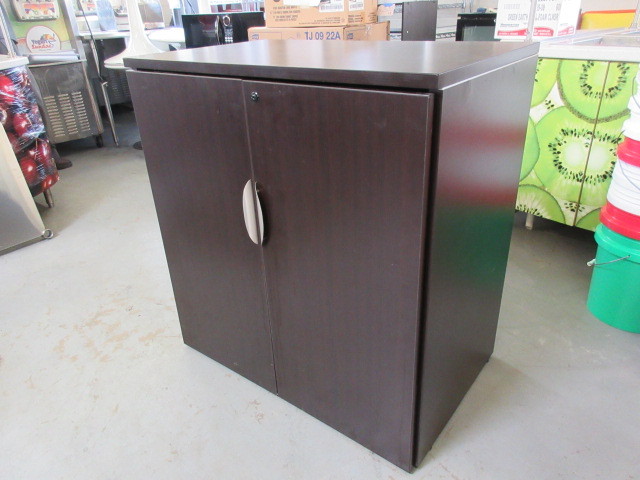 2 DOOR CABINET WITH ADJUSTABLE SHELVES