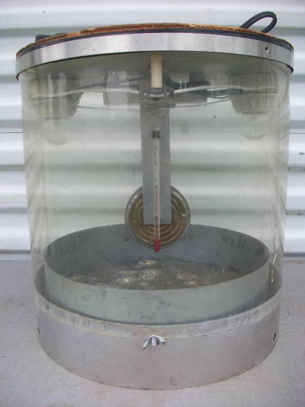lot 46 image: Egg Incubator