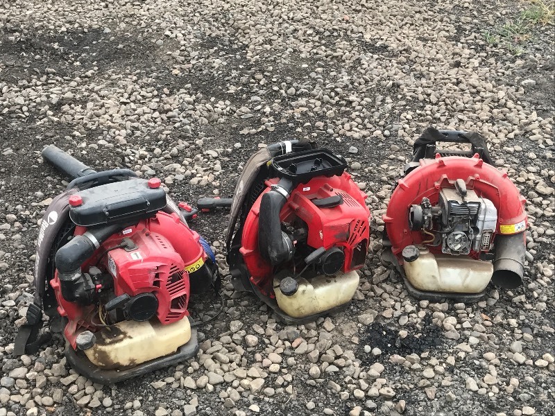 lot 19 image: (3) RedMax Backpack Blowers