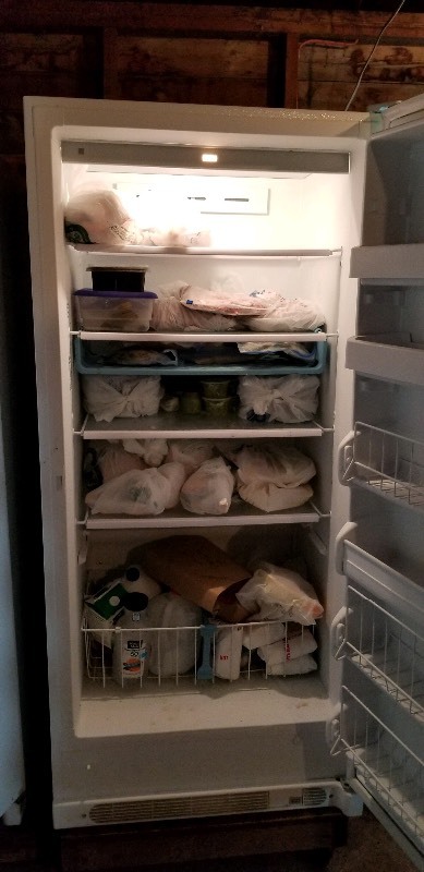 lot 463 image: Kenmore Elite Commercial Freezer