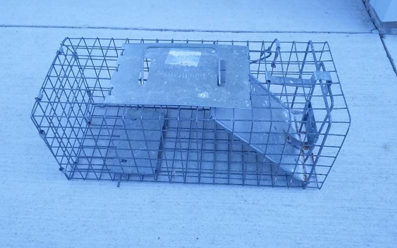 lot 24 image: Hav-A-Hart Trap