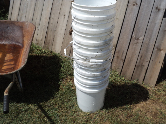 lot 32 image: 11 buckets...