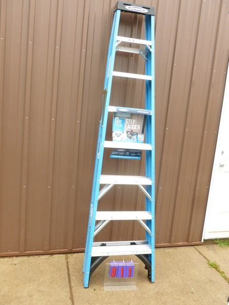 SnS Auctions # 332 Early fall sale