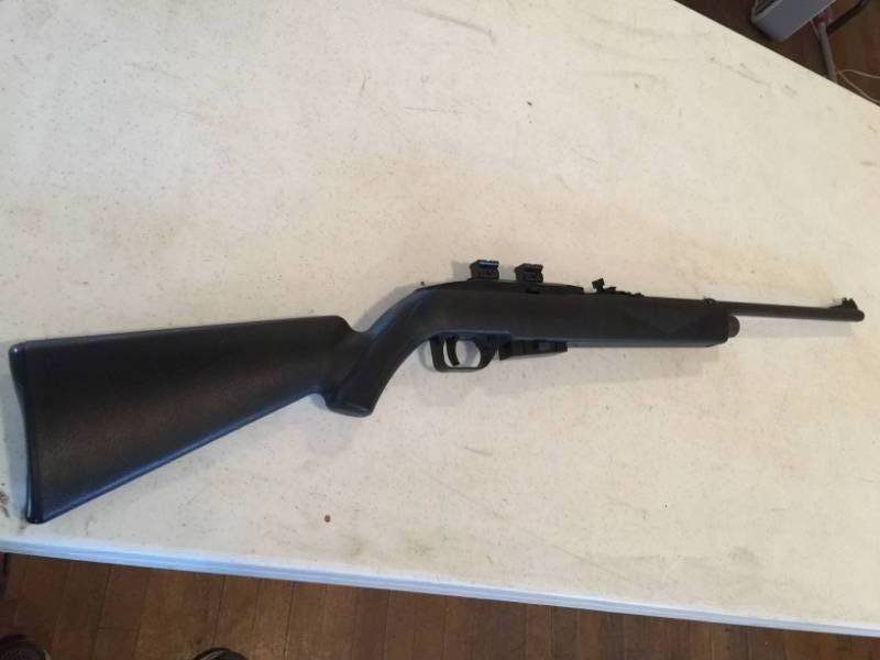 lot 111 image: Pellet Gun