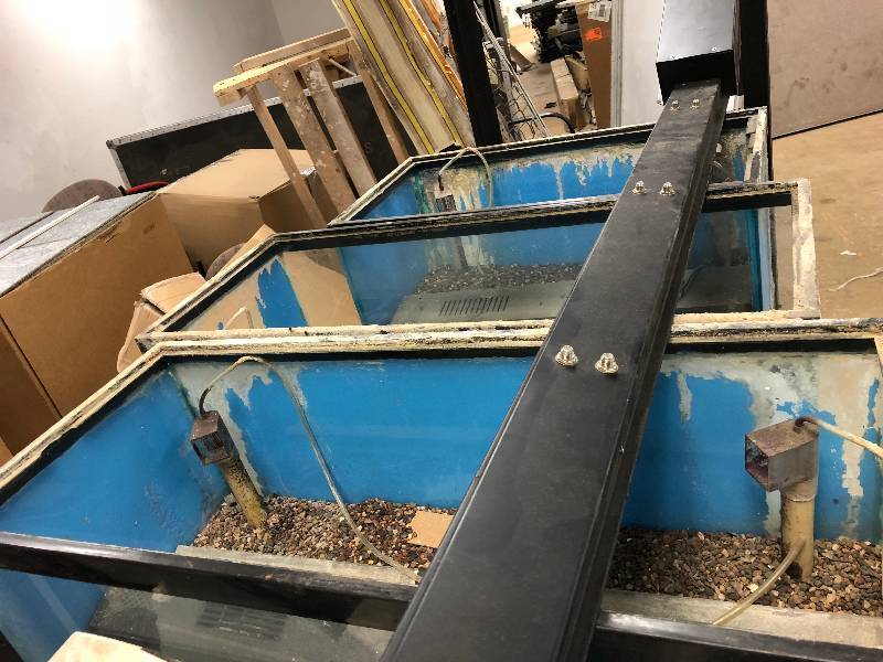 Set of 3 used fish tanks