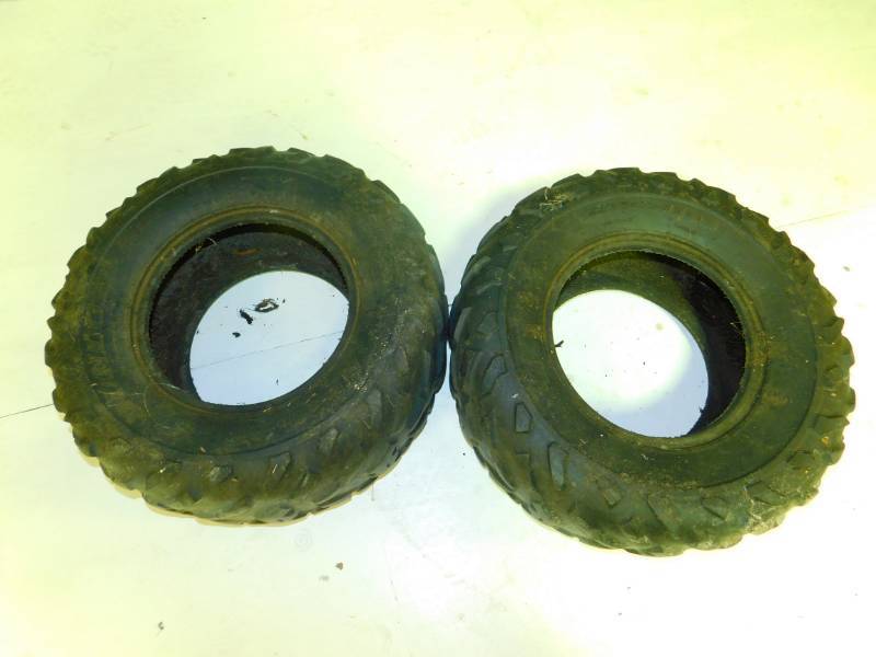 lot 18 image: Two---Four Wheeler TiresAT 25 x 10 x 12  Dunlop---KT128