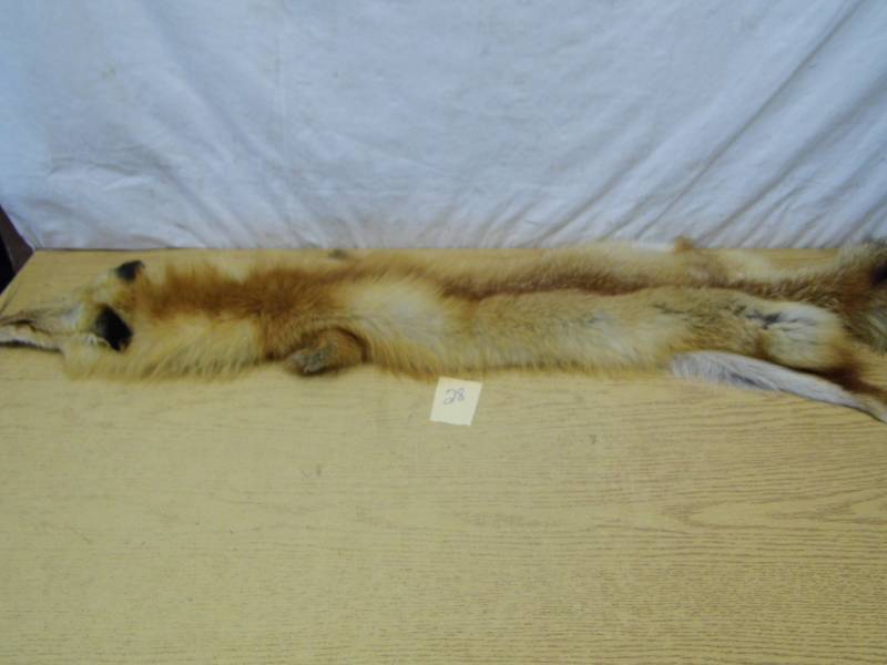 lot 28 image: Fox Pelt