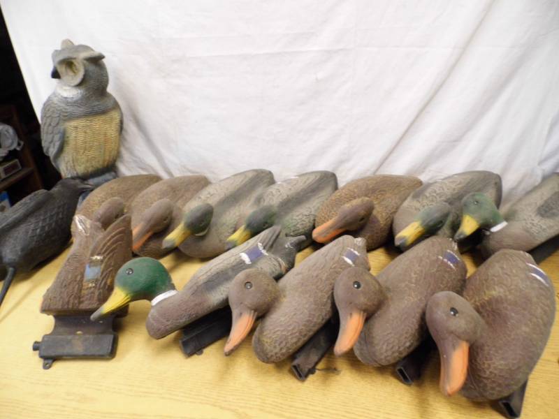 lot 74 image: Decoys - Owl - Crow w Bag