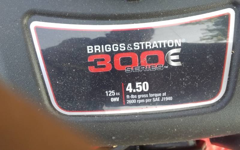 Briggs and stratton online 300