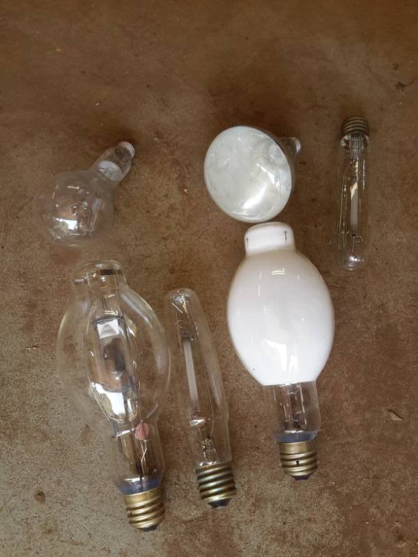 lot 103 image: Lot of Edison Bulbs, Unique Looking Being Able to See the Filaments